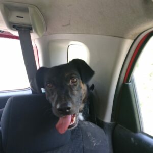 Coco