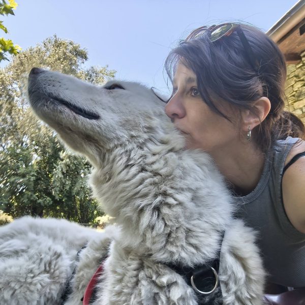 cane da adottare juno (2)