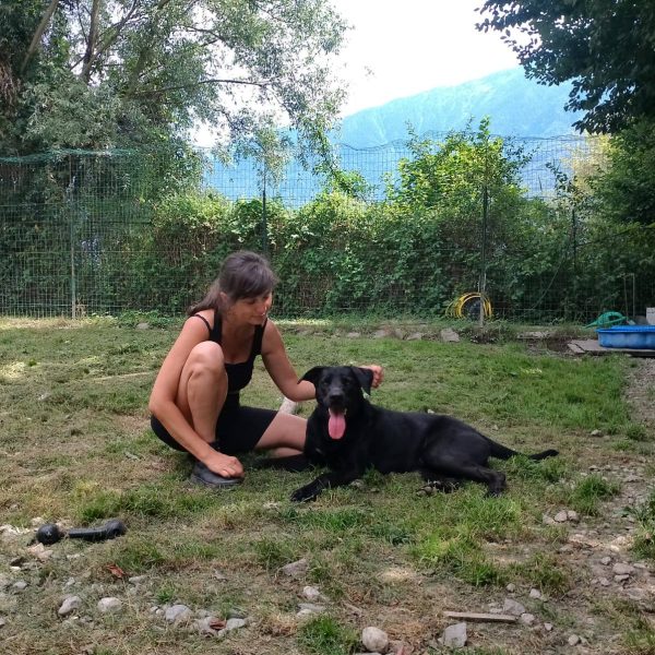 cane da adottare rifugio leon (7)