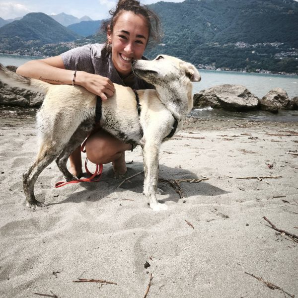 cane da adottare timo (2)