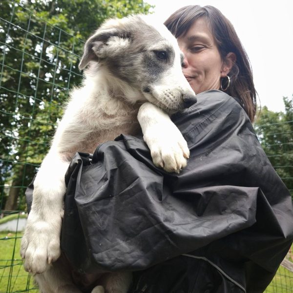cane in cerca adozione cocco (10)