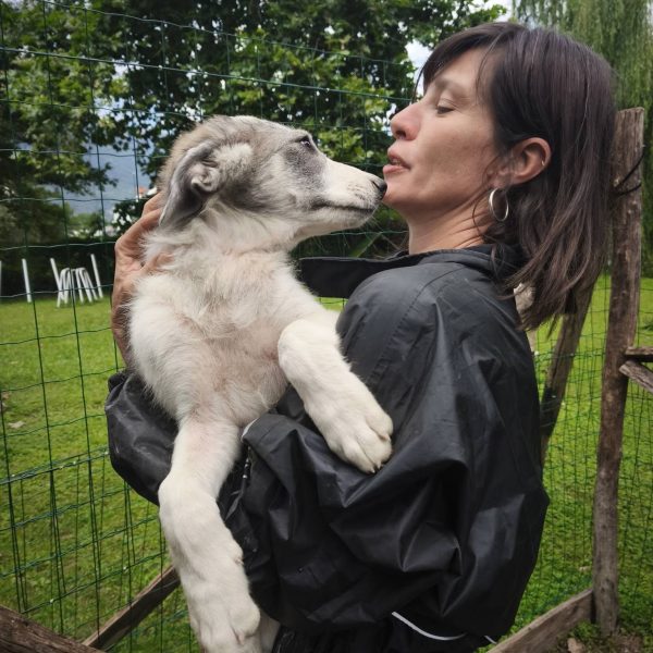 cane in cerca adozione cocco (3)