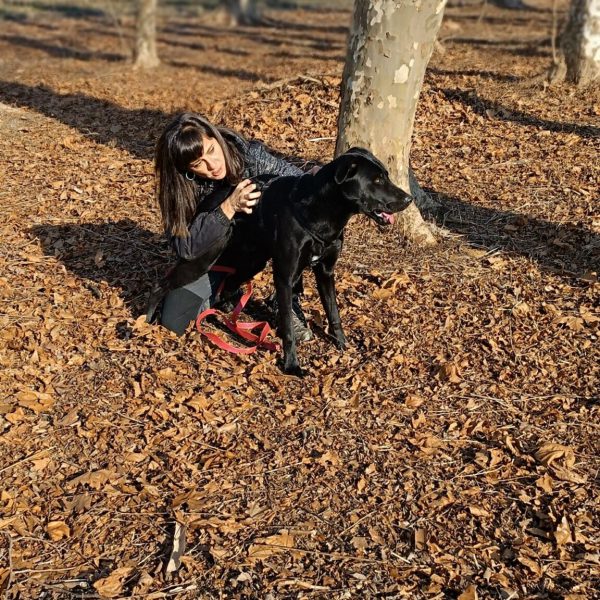 cane-in-cerca-di-adozione-leon (1)