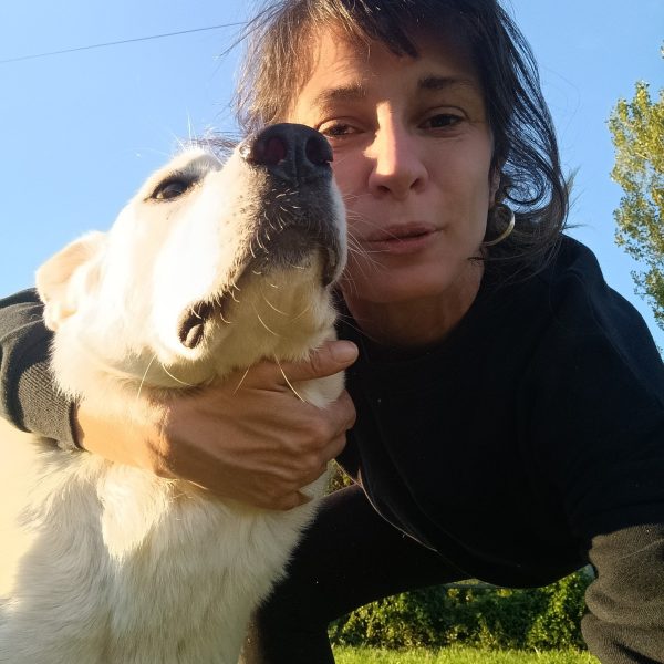 cani-in-adozione-rio (1)