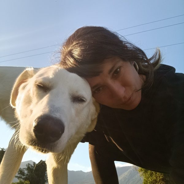 cani-in-adozione-rio (8)